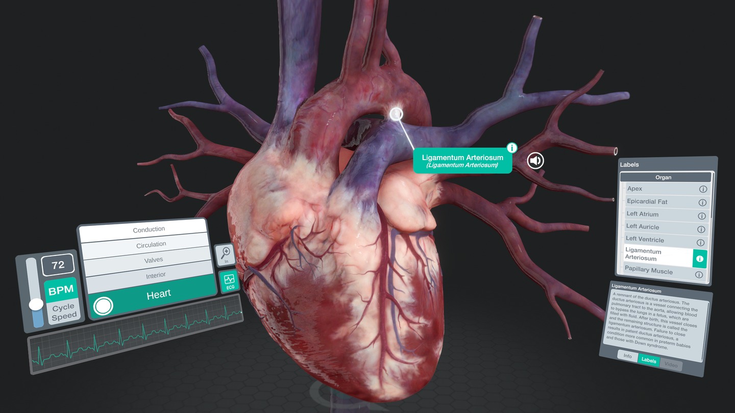 Sharecare YOU Anatomy Screenshot 3