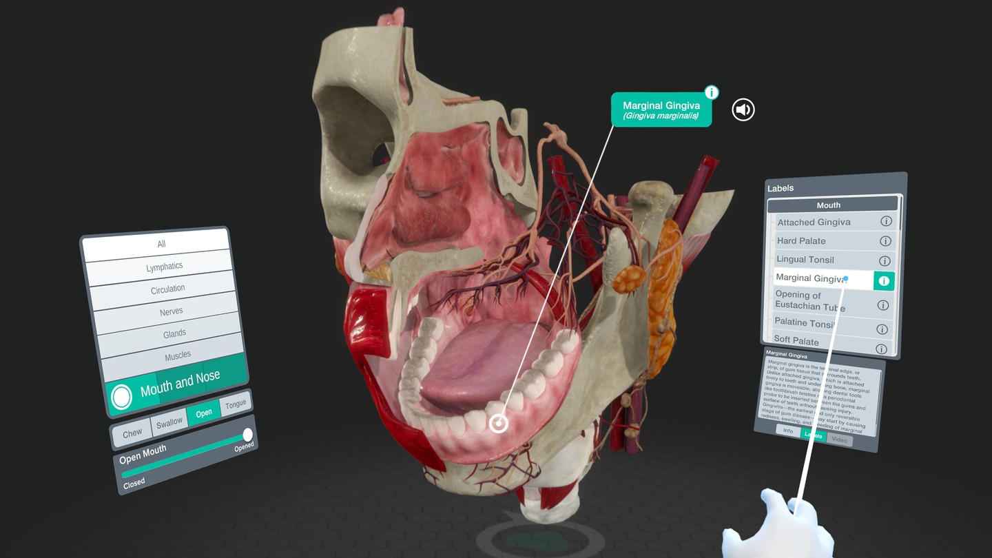 Sharecare YOU Anatomy Screenshot 4