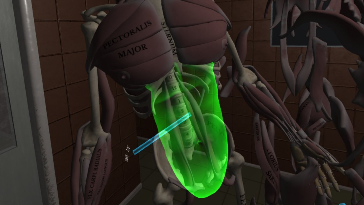 Human Anatomy Puzzle Screenshot 1