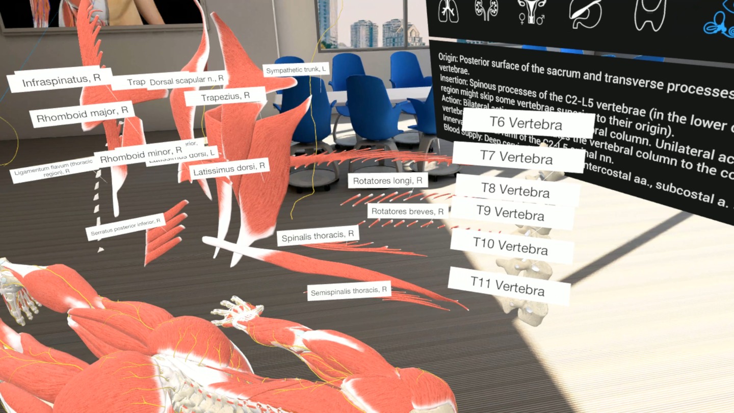 3D Organon VR Anatomy Screenshot 0