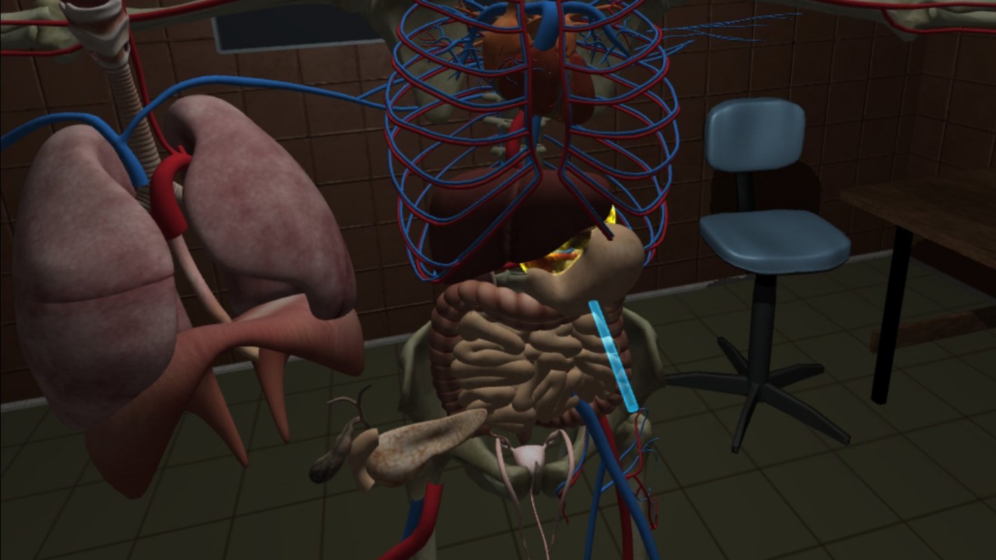 Human Anatomy Puzzle Screenshot 3