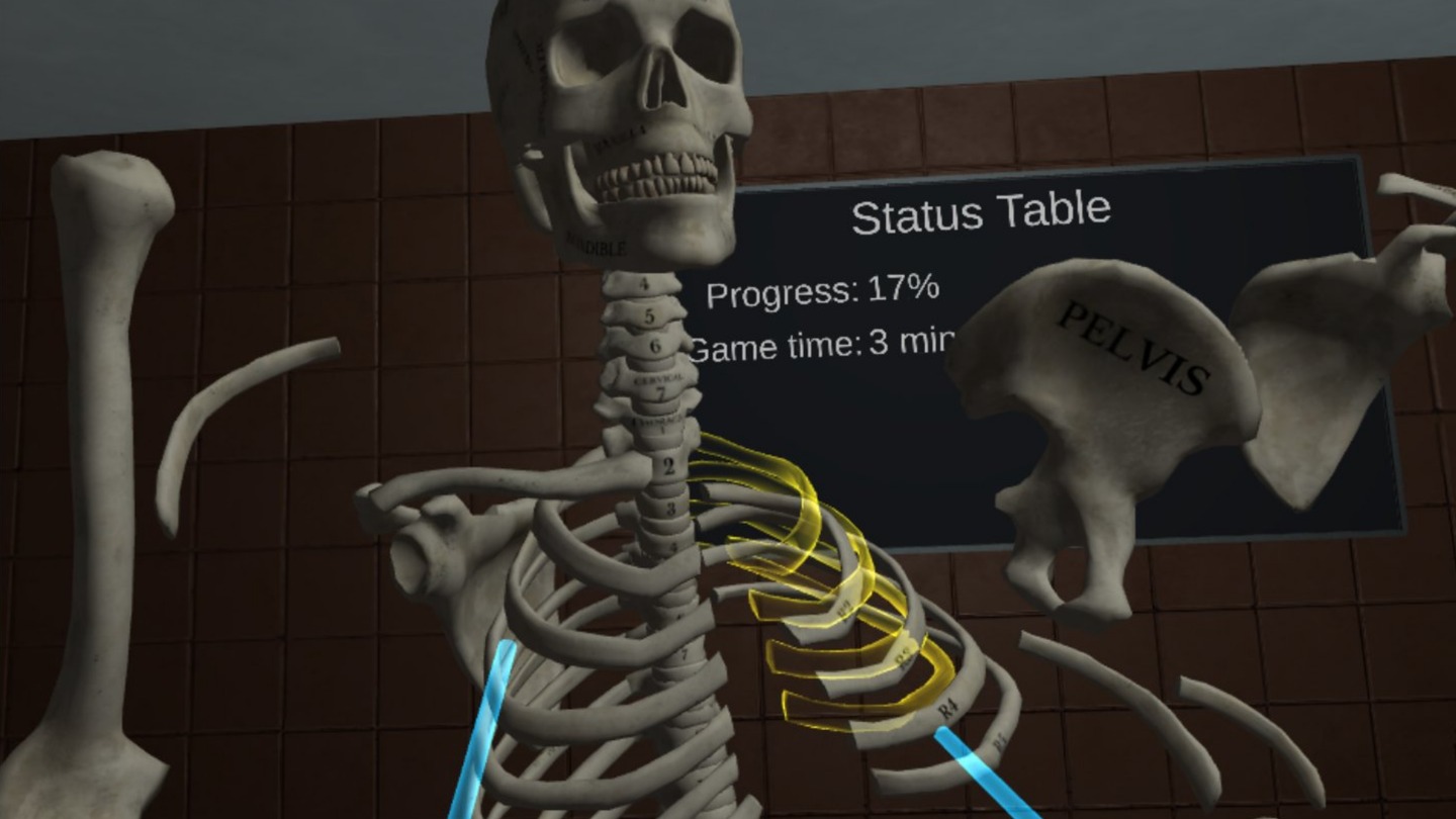Human Anatomy Puzzle Screenshot 0