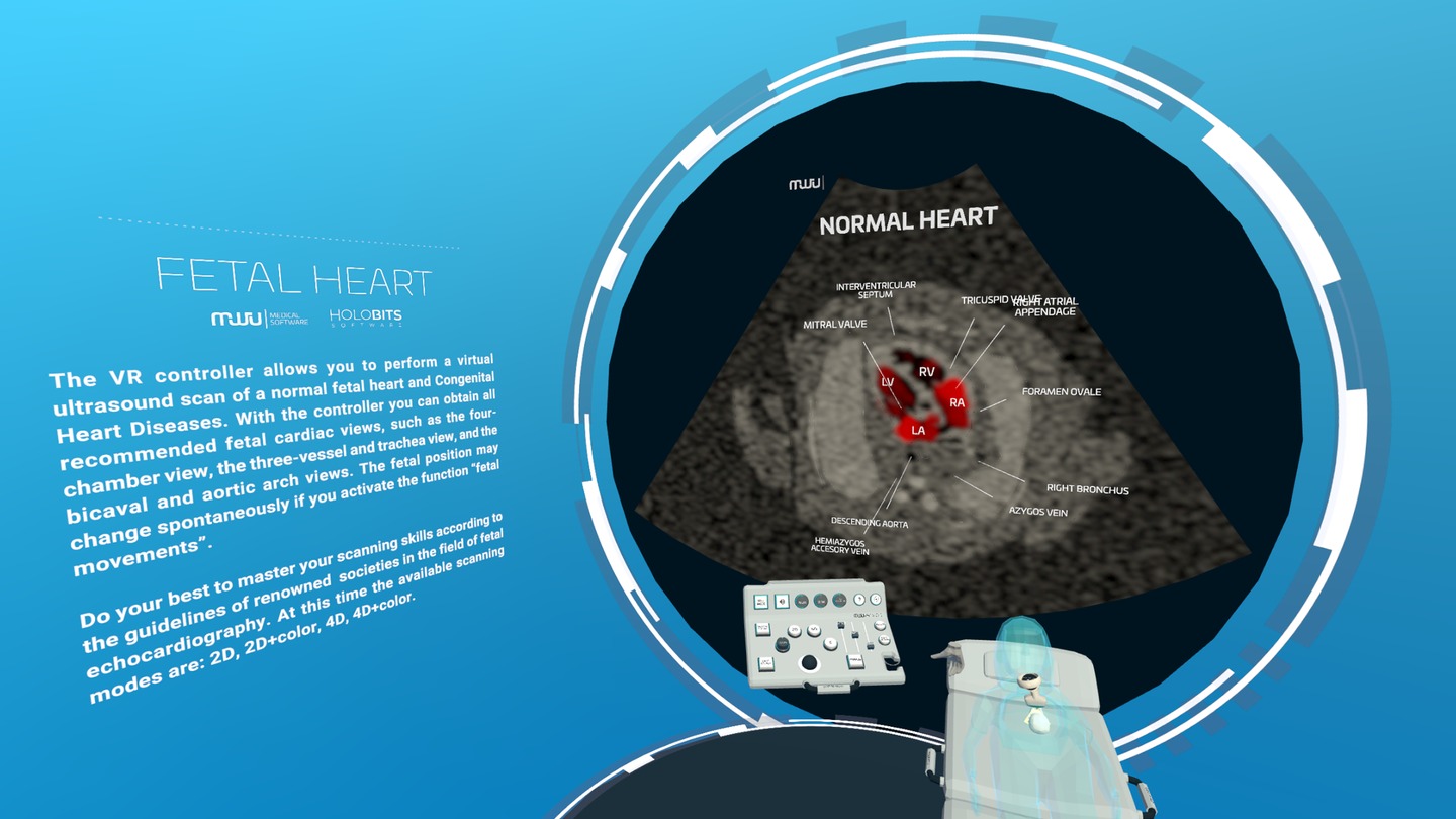 Fetal Heart VR Screenshot 0