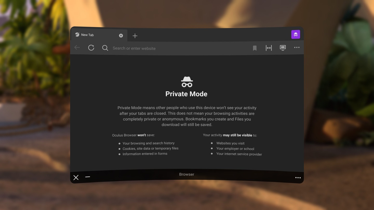 Oculus Browser Screenshot 2