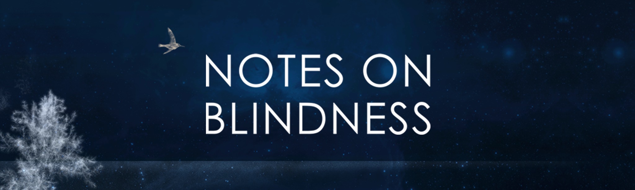 NOTES ON BLINDNESS Download on AppPage 