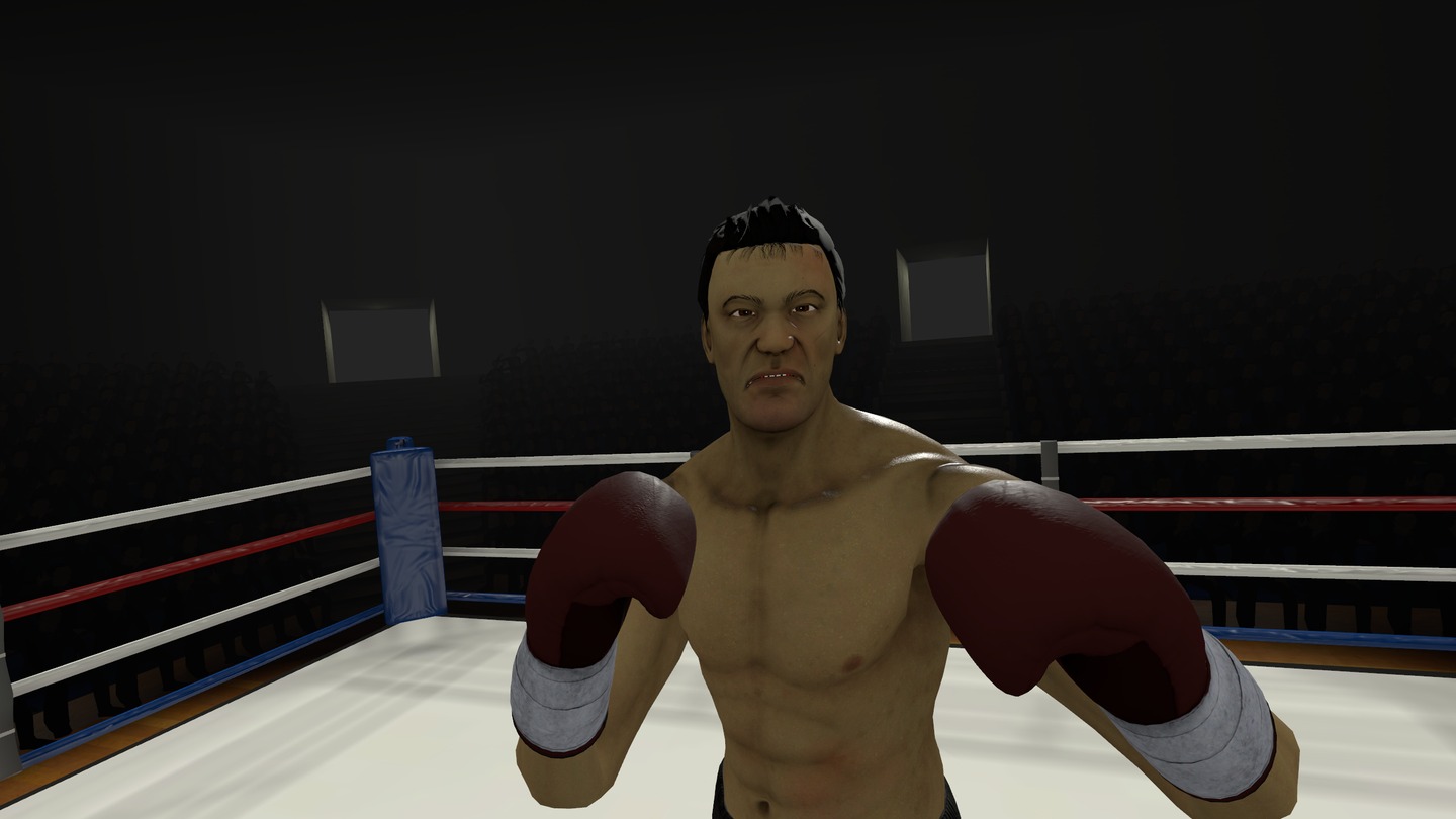 The Thrill of the Fight Screenshot 3