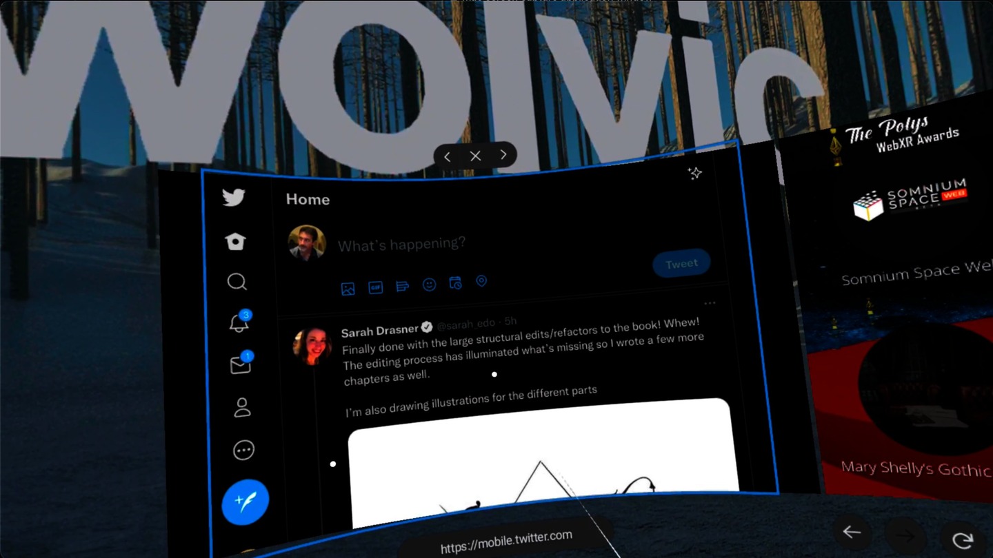 Wolvic Screenshot 2