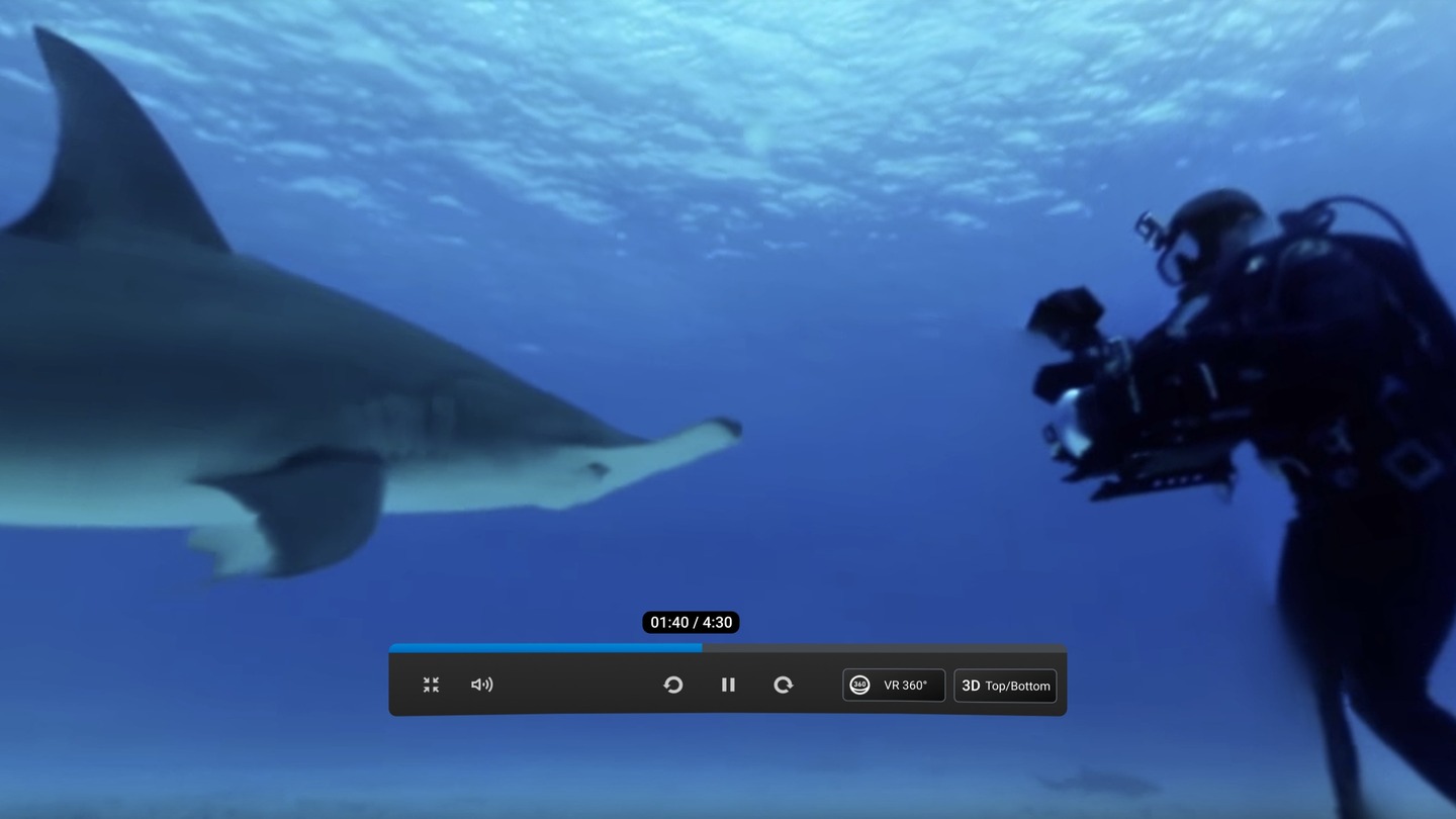 Oculus Browser Screenshot 3