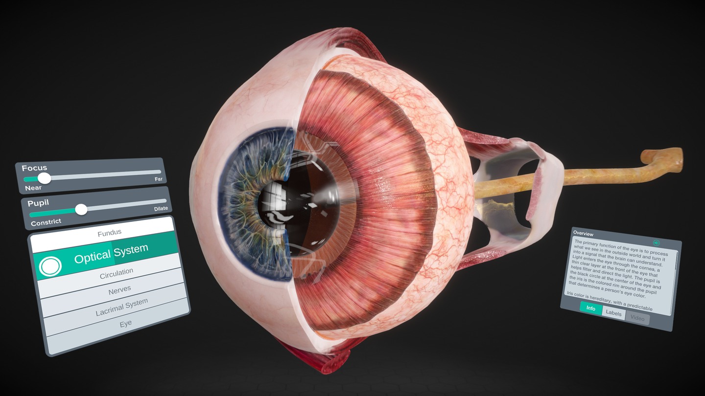 Sharecare YOU Anatomy Screenshot 0
