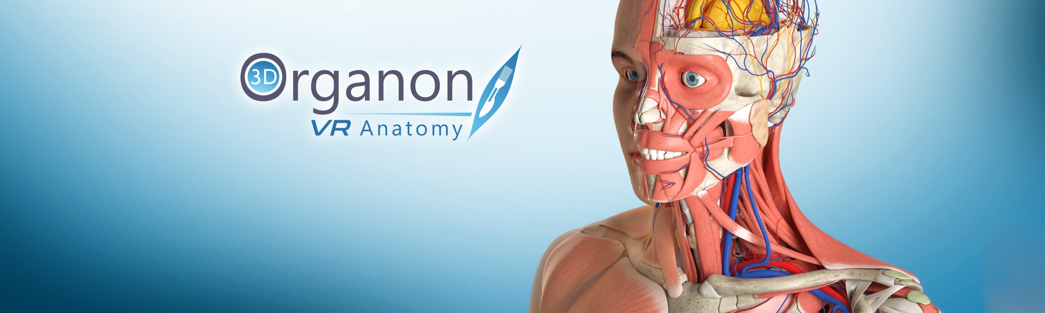 3D Organon VR Anatomy Download on AppPage 