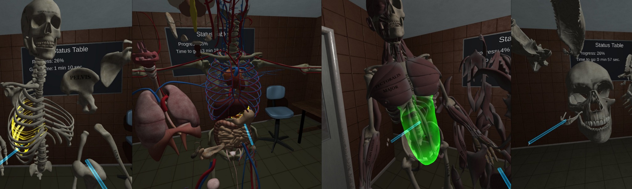 Human Anatomy Puzzle Download on AppPage 