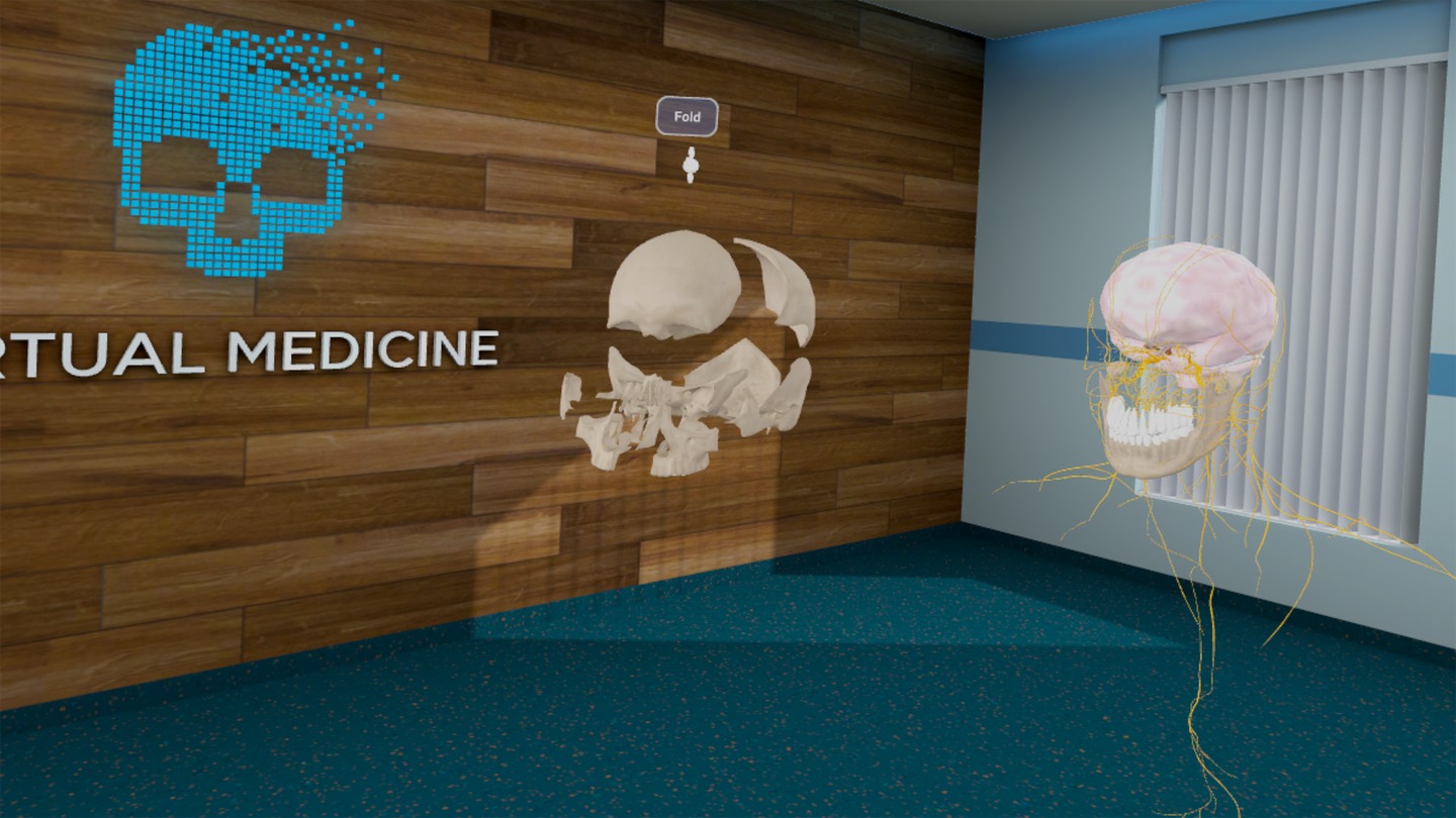 High School Anatomy for Quest Screenshot 1