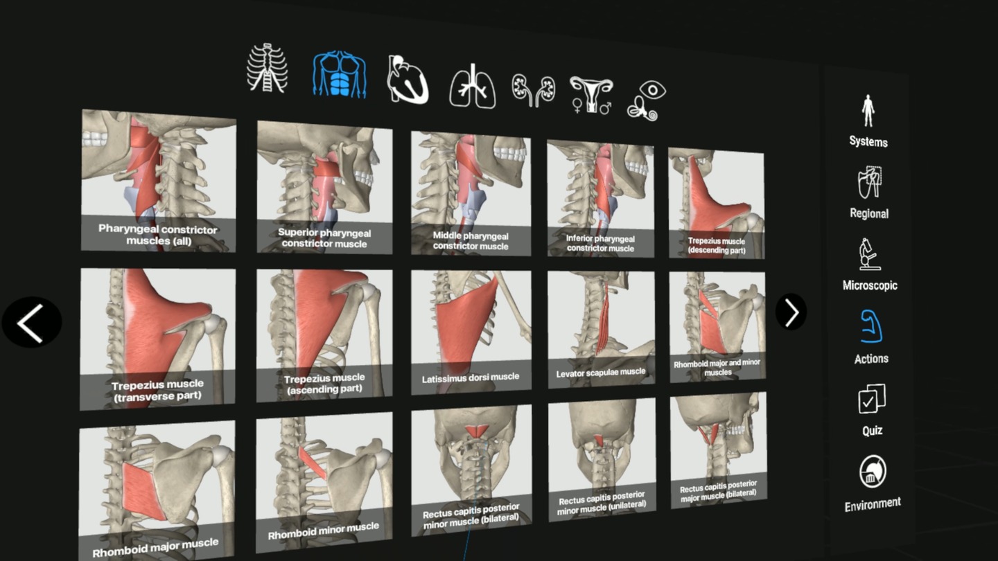 3D Organon VR Anatomy Screenshot 2