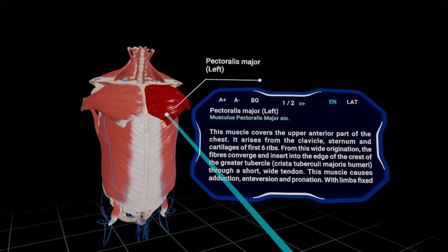 High School Anatomy for Quest Screenshot 4