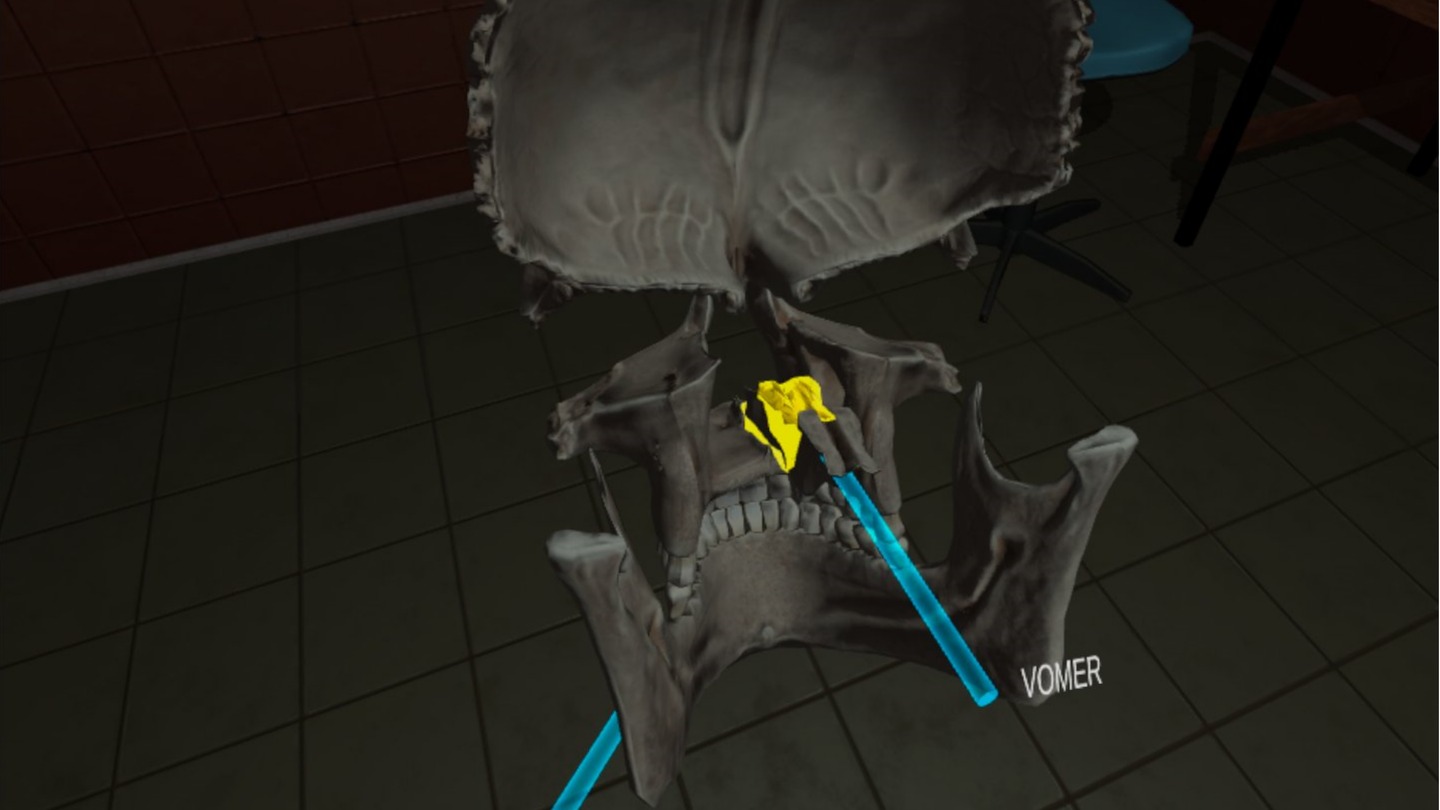 Human Anatomy Puzzle Screenshot 4