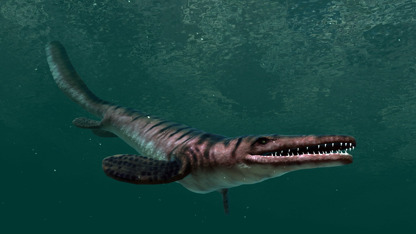 Ocean Rift Screenshot 4
