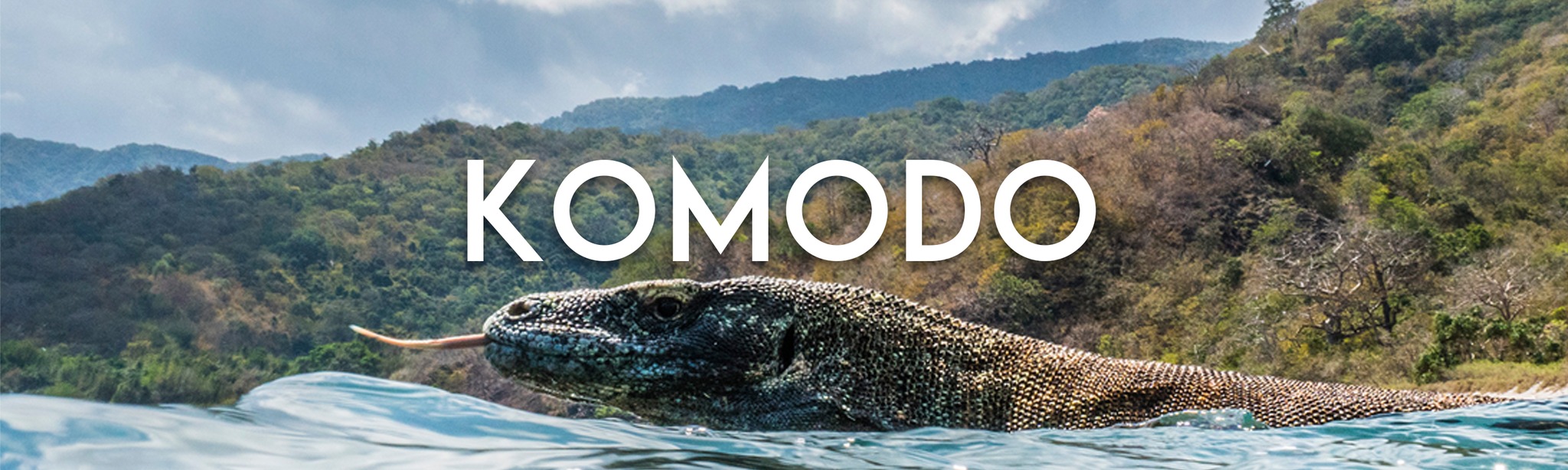 Komodo Download on AppPage 