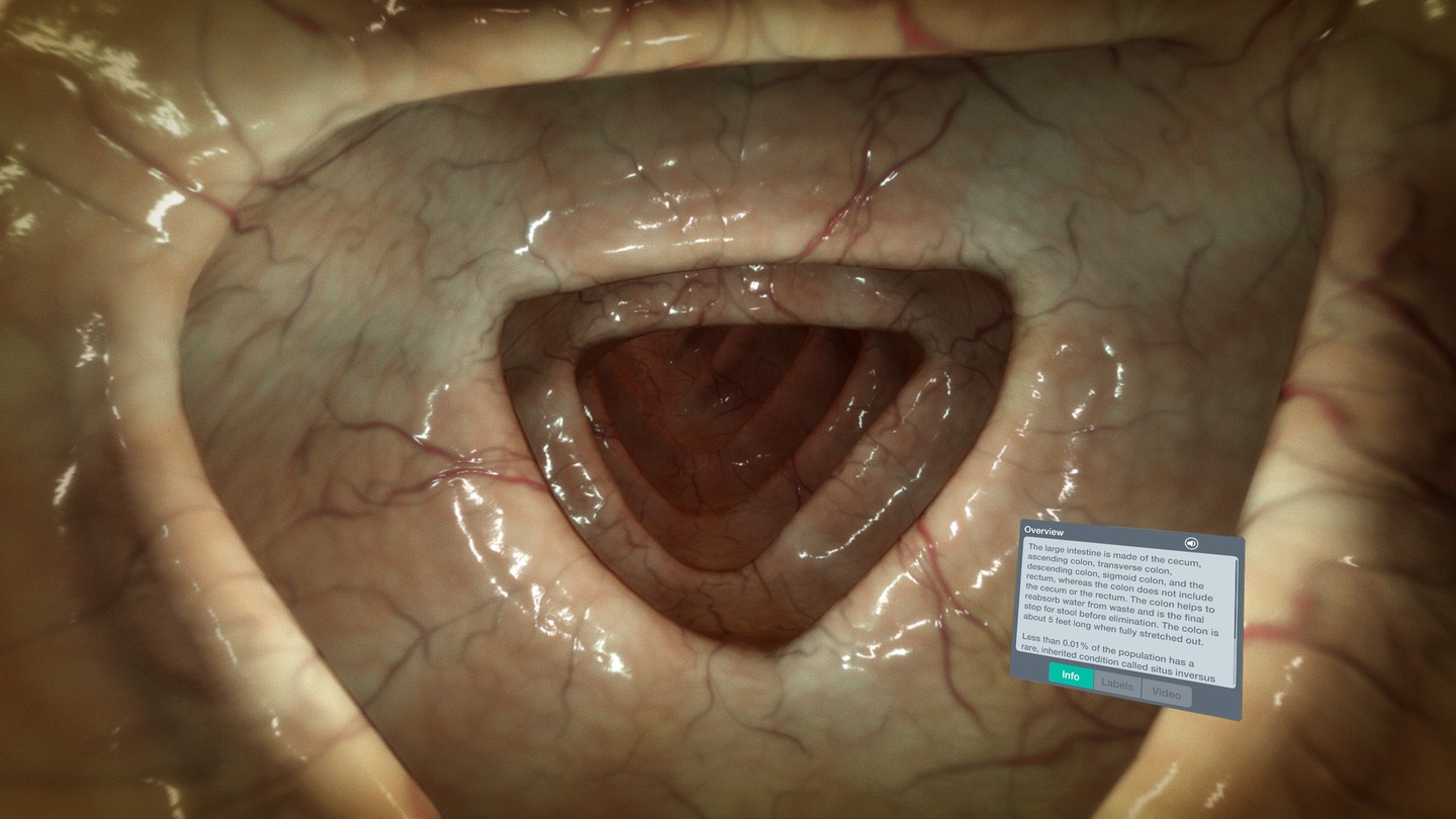 Sharecare YOU Anatomy Screenshot 2